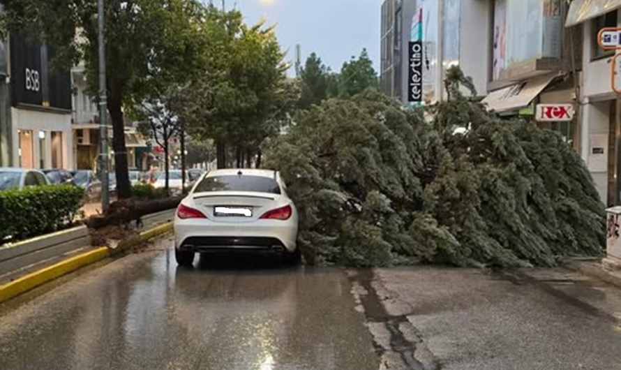 Νέα Ιωνία: «Κακοκαιρία  Adel» δέντρο έπεσε επάνω σε διερχόμενο αυτοκίνητο στην Λ. Ηρακλείου