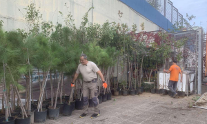 Ηράκλειο Αττικής: Πρωτοβουλία Ενίσχυσης του Αστικού Πρασίνου Ηράκλειο Αττικής: Πρωτοβουλία Ενίσχυσης του Αστικού Πρασίνου