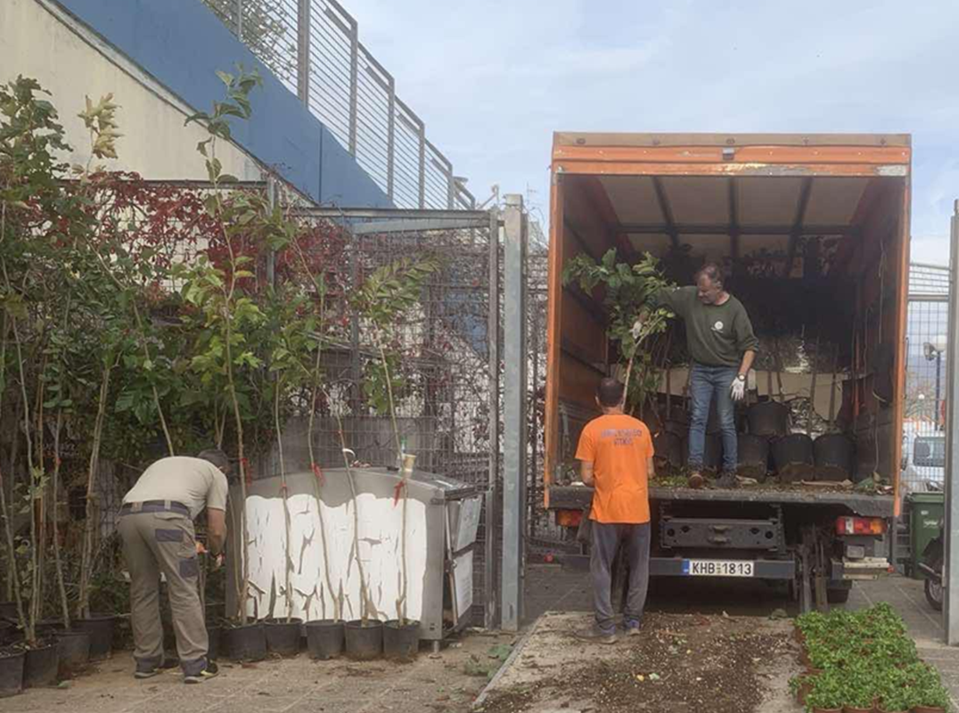 Ηράκλειο Αττικής: Πρωτοβουλία Ενίσχυσης του Αστικού Πρασίνου