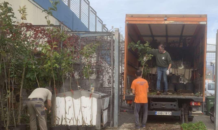 Ηράκλειο Αττικής: Πρωτοβουλία Ενίσχυσης του Αστικού Πρασίνου