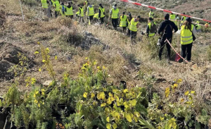 Παλλήνη: Πρώτη μεγάλη δράση της νέας φυτευτικής περιόδου με 670 νέες φυτεύσεις δέντρων