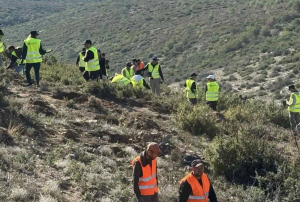 Παλλήνη: Πρώτη μεγάλη δράση της νέας φυτευτικής περιόδου με 670 νέες φυτεύσεις δέντρων