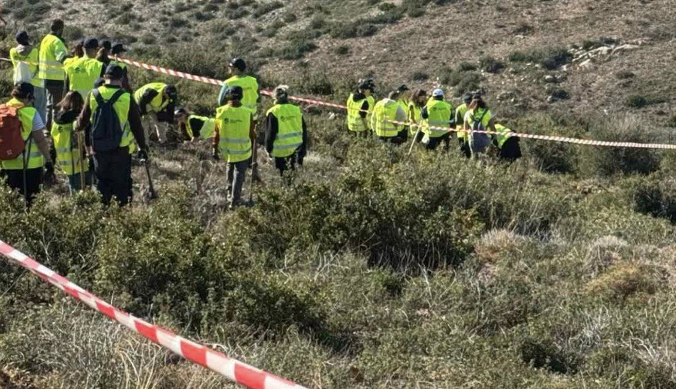 Παλλήνη: Πρώτη μεγάλη δράση της νέας φυτευτικής περιόδου με 670 νέες φυτεύσεις δέντρων