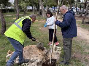 Παπάγου Χολαργός: Επιτυχημένες οι δράσεις δεντροφύτευσης που διοργανώθηκαν από το Δήμο - Φυτεύτηκαν 400 δέντρα