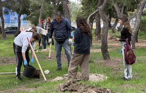 Παπάγου Χολαργός: Επιτυχημένες οι δράσεις δεντροφύτευσης που διοργανώθηκαν από το Δήμο - Φυτεύτηκαν 400 δέντρα