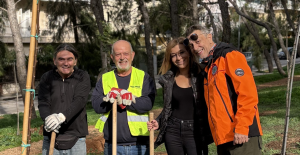 Παπάγου Χολαργός: Επιτυχημένες οι δράσεις δεντροφύτευσης που διοργανώθηκαν από το Δήμο - Φυτεύτηκαν 400 δέντρα