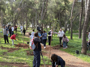 Παπάγου Χολαργός: Επιτυχημένες οι δράσεις δεντροφύτευσης που διοργανώθηκαν από το Δήμο - Φυτεύτηκαν 400 δέντρα