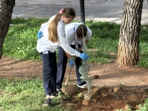 Στην ανακοίνωση του Δήμου τονίζεται : 