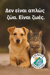 Πεντέλη: Τις τελευταίες ημέρες έχουν εντοπιστεί σημεία στον Δήμο όπου άγνωστοι έχουν ρίξει φόλες για ζώα Πεντέλη: Τις τελευταίες ημέρες έχουν εντοπιστεί σημεία στον Δήμο όπου άγνωστοι έχουν ρίξει φόλες για ζώα