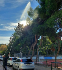 Σε εξέλιξη εργασίες ψεκασμού των πεύκων στον Δήμο Λυκόβρυσης-Πεύκης Σε εξέλιξη εργασίες ψεκασμού των πεύκων στον Δήμο Λυκόβρυσης-Πεύκης