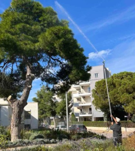 Σε εξέλιξη εργασίες ψεκασμού των πεύκων στον Δήμο Λυκόβρυσης-Πεύκης Σε εξέλιξη εργασίες ψεκασμού των πεύκων στον Δήμο Λυκόβρυσης-Πεύκης