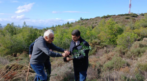 ΣΠΑΠ: "5η Δράση" Επιτυχημένη δενδροφύτευση στον Κοκκινάρα της Κηφισιάς