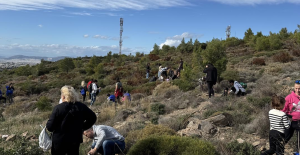 ΣΠΑΠ: "5η Δράση" Επιτυχημένη δενδροφύτευση στον Κοκκινάρα της Κηφισιάς