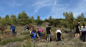 ΣΠΑΠ: "5η Δράση" Επιτυχημένη δενδροφύτευση στον Κοκκινάρα της Κηφισιάς