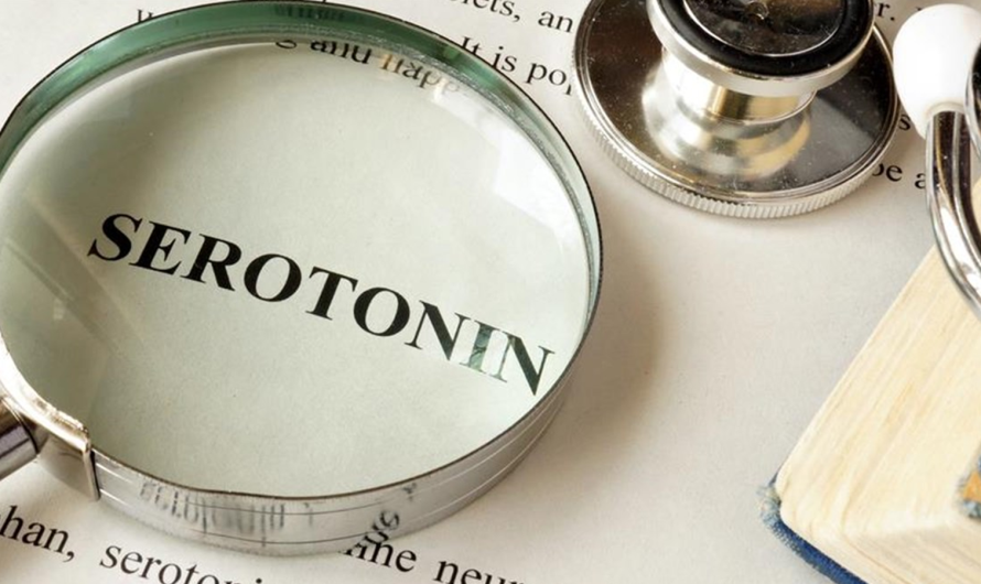 Η Σεροτονίνη: Η «Ορμόνη της Χαράς» και ο πολυδιάστατος ρόλος της