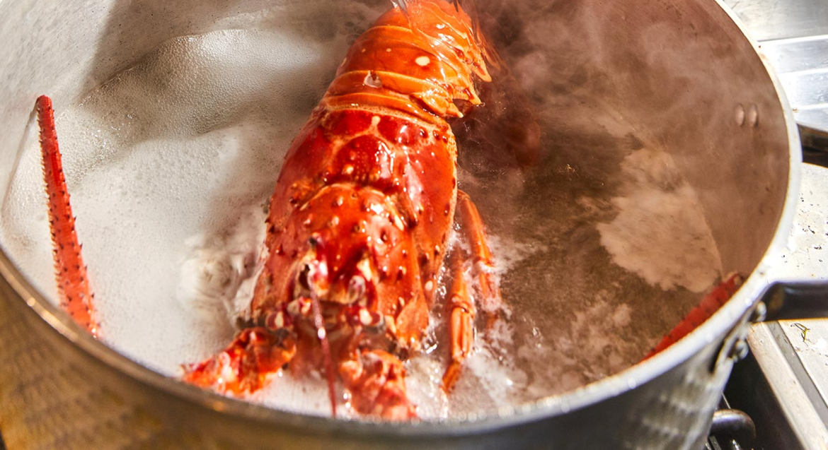 Ηνωμένο Βασίλειο: Τέλος στο βράσιμο ζωντανών αστακών