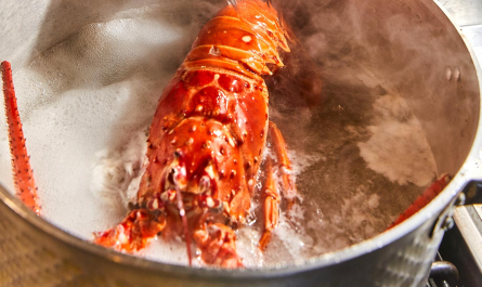 Ηνωμένο Βασίλειο: Τέλος στο βράσιμο ζωντανών αστακών