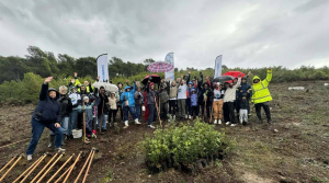 Πρωτοβουλία αναδάσωσης και περιβαλλοντικής ανθεκτικότητας στα Άνω Βριλήσσια Πρωτοβουλία αναδάσωσης και περιβαλλοντικής ανθεκτικότητας στα Άνω Βριλήσσια