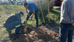 Πρωτοβουλία αναδάσωσης και περιβαλλοντικής ανθεκτικότητας στα Άνω Βριλήσσια Πρωτοβουλία αναδάσωσης και περιβαλλοντικής ανθεκτικότητας στα Άνω Βριλήσσια