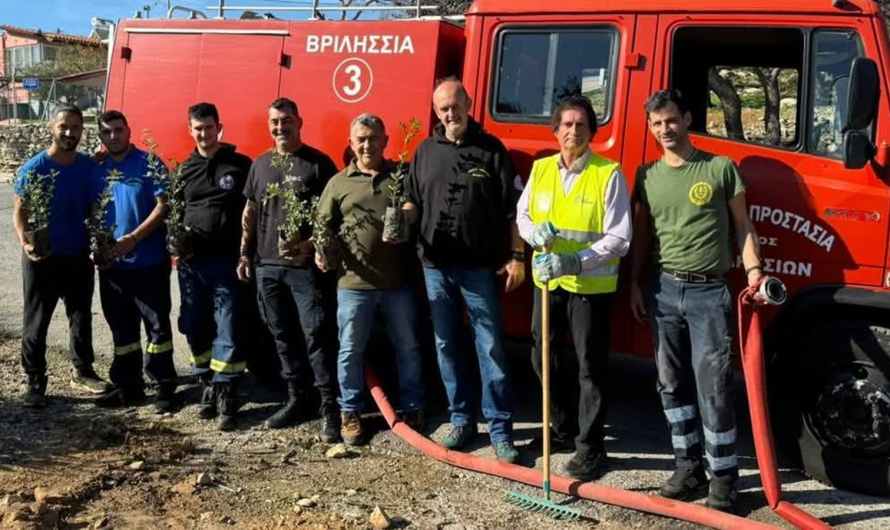 Πρωτοβουλία αναδάσωσης και περιβαλλοντικής ανθεκτικότητας στα Άνω Βριλήσσια