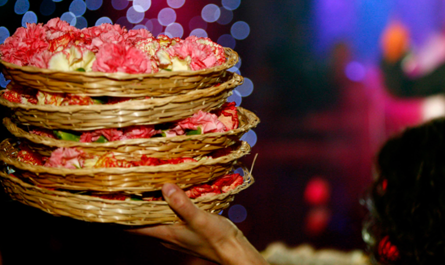 Επιχείρηση «Πυρετός το Σαββατόβραδο»: Η ΑΑΔΕ «Σκανάρει» τη Νυχτερινή Διασκέδαση με AI και Digital Εργαλεία