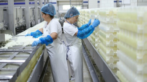 «Κίνδυνος έλλειψης φέτας» Η ευλογιά των προβάτων απειλεί το κορυφαίο εξαγώγιμο προϊόν της χώρας μας «Κίνδυνος έλλειψης φέτας» Η ευλογιά των προβάτων απειλεί το κορυφαίο εξαγώγιμο προϊόν της χώρας μας