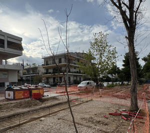 Ηράκλειο Αττικής : 15 Νέα Δέντρα στην Κουντουριώτου και Ελευθερίου Βενιζέλου στο πλαίσιο της Μεγάλης Ανάπλασης
