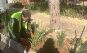 Ηράκλειο Αττικής: Συνεχίζει η προσπάθεια του Δήμου  να πρασινίσει τις γειτονίες της πόλης