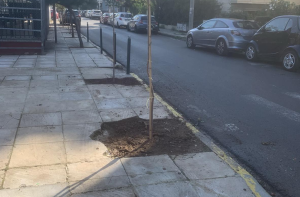 "Πράσινη Ανάπλαση στο Ηράκλειο Αττικής" Νέα Πνοή στην Πλατεία Μπομποτίνου "Πράσινη Ανάπλαση στο Ηράκλειο Αττικής" Νέα Πνοή στην Πλατεία Μπομποτίνου