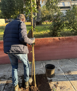"Πράσινη Ανάπλαση στο Ηράκλειο Αττικής" Νέα Πνοή στην Πλατεία Μπομποτίνου "Πράσινη Ανάπλαση στο Ηράκλειο Αττικής" Νέα Πνοή στην Πλατεία Μπομποτίνου