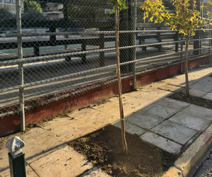 "Πράσινη Ανάπλαση στο Ηράκλειο Αττικής" Νέα Πνοή στην Πλατεία Μπομποτίνου "Πράσινη Ανάπλαση στο Ηράκλειο Αττικής" Νέα Πνοή στην Πλατεία Μπομποτίνου