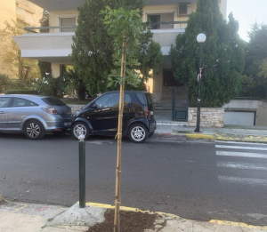 "Πράσινη Ανάπλαση στο Ηράκλειο Αττικής" Νέα Πνοή στην Πλατεία Μπομποτίνου "Πράσινη Ανάπλαση στο Ηράκλειο Αττικής" Νέα Πνοή στην Πλατεία Μπομποτίνου