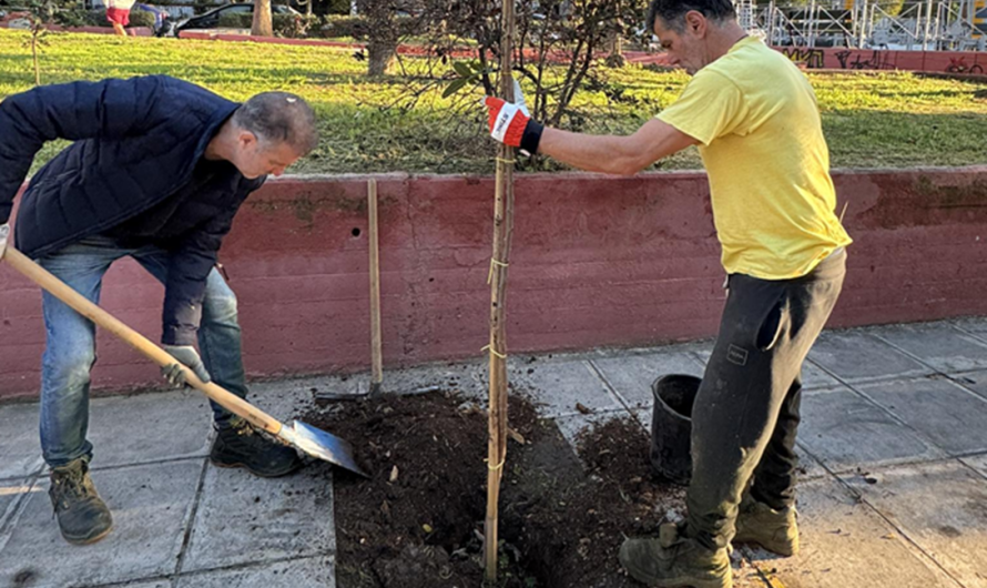 “Πράσινη ανάπλαση στο Ηράκλειο Αττικής” νέα πνοή στην πλατεία Μπομποτίνου