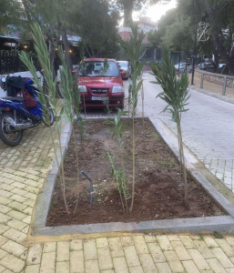 Ηράκλειο Αττικής: Συνεχίζει η προσπάθεια του Δήμου  να πρασινίσει τις γειτονίες της πόλης