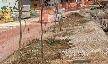 Ηράκλειο Αττικής : 15 Νέα Δέντρα στην Κουντουριώτου και Ελευθερίου Βενιζέλου στο πλαίσιο της Μεγάλης Ανάπλασης