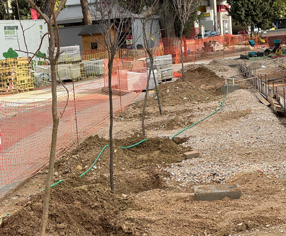 Ηράκλειο Αττικής : 15 Νέα Δέντρα στην Κουντουριώτου και Ελευθερίου Βενιζέλου στο πλαίσιο της Μεγάλης Ανάπλασης