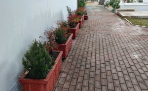 Κηφισιά: Νέες φυτεύσεις στον Ι.Ν. Αγίας Μαύρας και στο Κοιμητήριο Νέας Ερυθραίας Κηφισιά: Νέες φυτεύσεις στον Ι.Ν. Αγίας Μαύρας και στο Κοιμητήριο Νέας Ερυθραίας