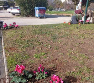 Κηφισιά: Νέες φυτεύσεις στον Ι.Ν. Αγίας Μαύρας και στο Κοιμητήριο Νέας Ερυθραίας Κηφισιά: Νέες φυτεύσεις στον Ι.Ν. Αγίας Μαύρας και στο Κοιμητήριο Νέας Ερυθραίας