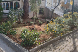 Κηφισιά: Νέες φυτεύσεις στον Ι.Ν. Αγίας Μαύρας και στο Κοιμητήριο Νέας Ερυθραίας Κηφισιά: Νέες φυτεύσεις στον Ι.Ν. Αγίας Μαύρας και στο Κοιμητήριο Νέας Ερυθραίας