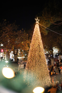 Η Κηφισιά φωταγώγησε το Χριστουγεννιάτικο δέντρο της