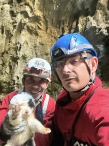 Πήλιο: Κουτάβια πετάχτηκαν σε γκρεμό 20 Μέτρων