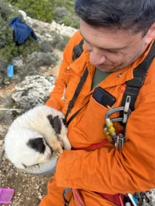 Πήλιο: Κουτάβια πετάχτηκαν σε γκρεμό 20 Μέτρων