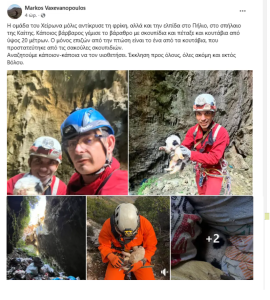 Πήλιο: Κουτάβια πετάχτηκαν σε γκρεμό 20 Μέτρων