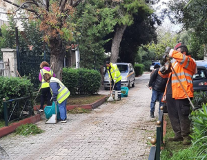 Μαρούσι: Δράση κλαδέματος και καθαριότητας στην οδό Γράμμου από την Υπηρεσία Πρασίνου Μαρούσι: Δράση κλαδέματος και καθαριότητας στην οδό Γράμμου από την Υπηρεσία Πρασίνου