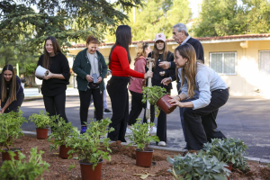 Μαρούσι:  Δράση δεντροφύτευσης από το Forum Νέων Αμαρουσίου, στο 6ο Λύκειο και στο 5ο Γυμνάσιο Αμαρουσίου