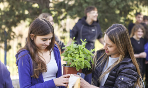 Μαρούσι:  Δράση δεντροφύτευσης από το Forum Νέων Αμαρουσίου, στο 6ο Λύκειο και στο 5ο Γυμνάσιο Αμαρουσίου