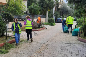 Μαρούσι: Δράση κλαδέματος και καθαριότητας στην οδό Γράμμου από την Υπηρεσία Πρασίνου Μαρούσι: Δράση κλαδέματος και καθαριότητας στην οδό Γράμμου από την Υπηρεσία Πρασίνου
