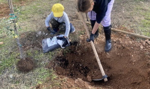 «Δράση δενδροφύτευσες στο Πάρκο Φραγκοκλησιάς» Ένωσε το Μαρούσι και Χαλάνδρι σε μια πρωτοποριακή συνεργασία «Δράση δενδροφύτευσες στο Πάρκο Φραγκοκλησιάς» Ένωσε το Μαρούσι και Χαλάνδρι σε μια πρωτοποριακή συνεργασία