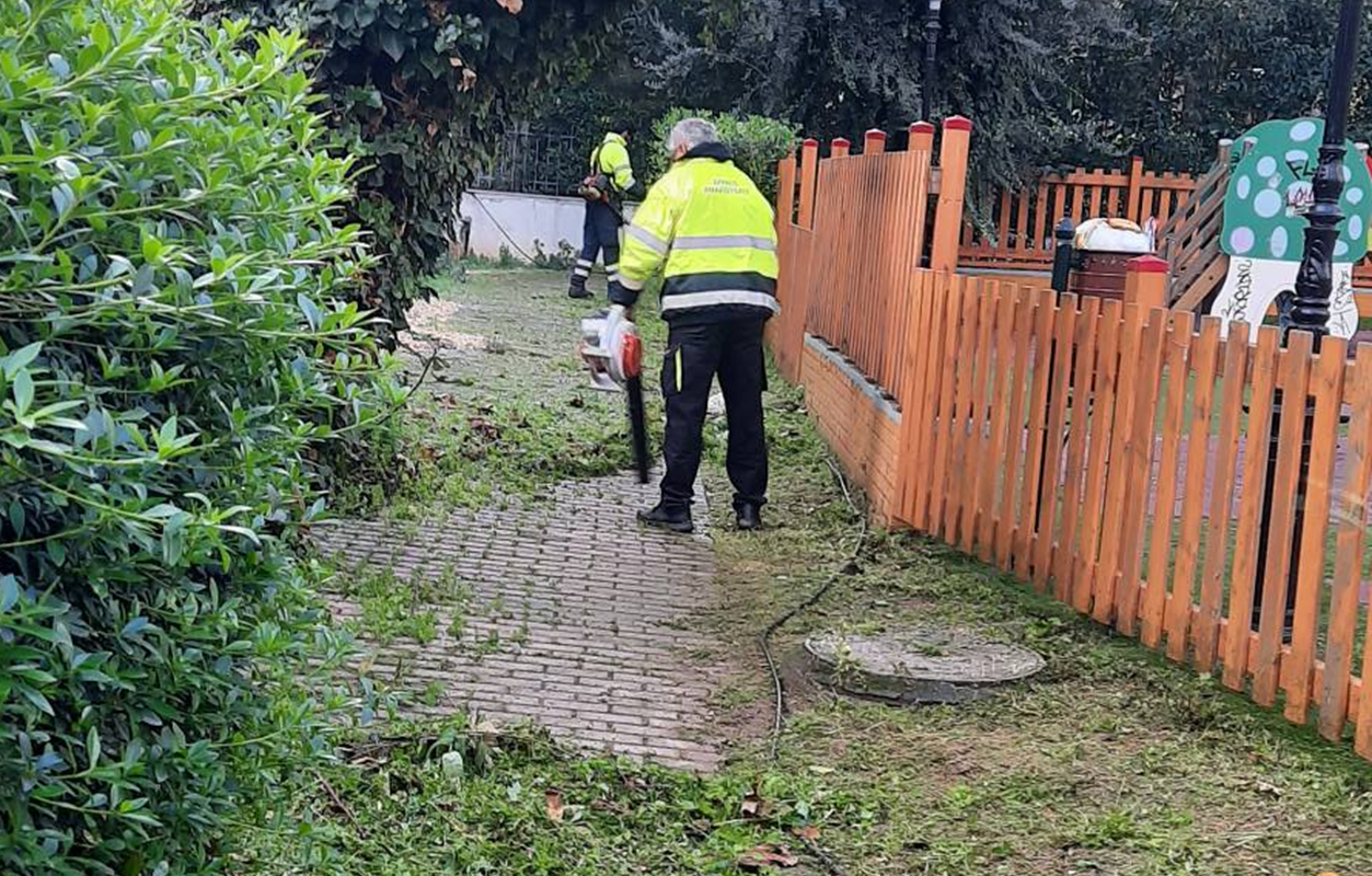 Μαρούσι: Δράση κλαδέματος και καθαριότητας στην  οδό Γράμμου από την Υπηρεσία Πρασίνου