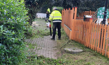 Μαρούσι: Δράση κλαδέματος και καθαριότητας στην  οδό Γράμμου από την Υπηρεσία Πρασίνου